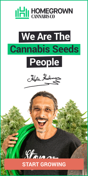 Grow Cannabis with Kyle Kushman